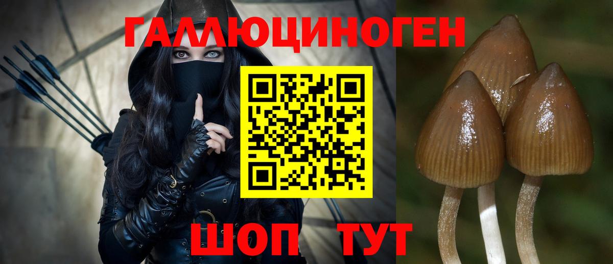купить наркотики сайты  Галлюциногенные грибы MAGIC MUSHROOMS  Вход с VPN  Кисловодск 