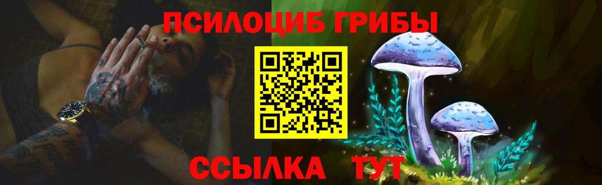 Галлюциногенные грибы мухоморы Кисловодск